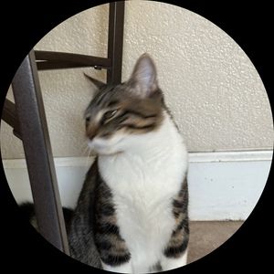 Meet your Posher, Hyo joon